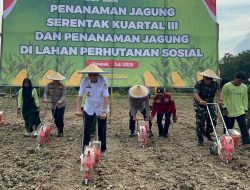 Dukung Ketahanan Pangan, Kapolda Sultra Bersama Forkopimda Tanam Jagung di Konawe