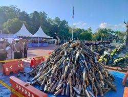 Pelanggaran Lalu Lintas di Sultra Didominasi Pelajar dan Karyawan Swasta