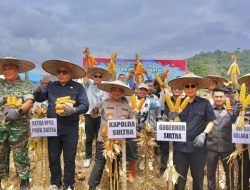 Dukung Ketahanan Pangan, Kapolda Sultra dan Forkopimda Panen Raya Jagung Serentak di Koltim