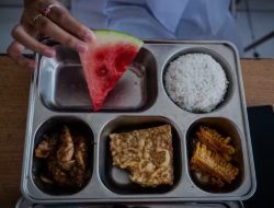 IDAI Sampaikan Surat Terbuka untuk Badan Gizi Nasional