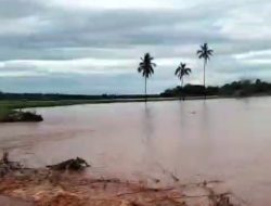 Aktivitas PT IPIP di Kolaka Diduga Sebabkan Sungai Meluap, Puluhan Hektar Sawah Warga Terendam Banjir