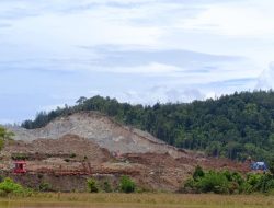 Imbas PSN PT IPIP di Pomalaa, Hutan dan Penghidupan Masyarakat Lokal Digerus